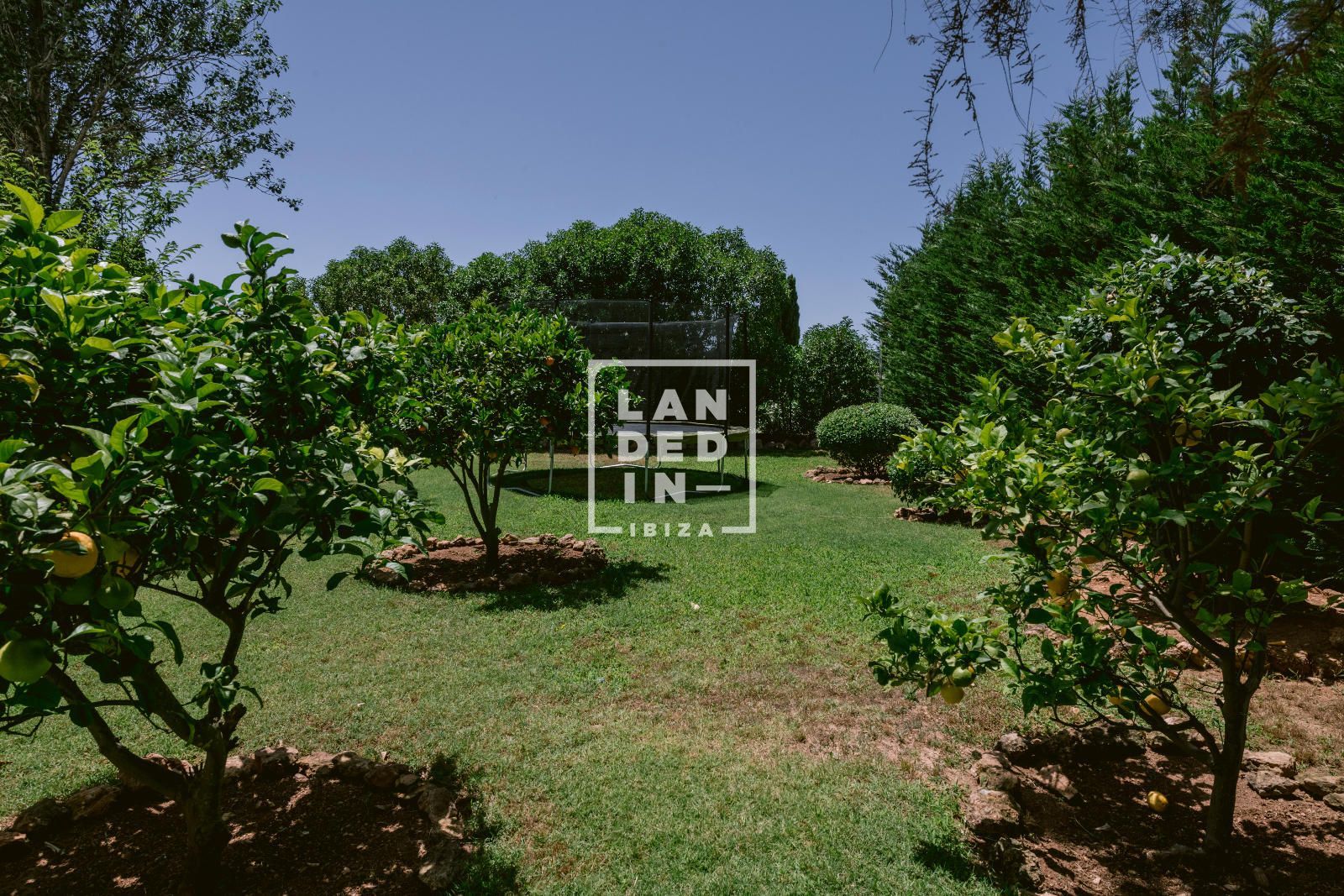 Imagen 32 del inmueble