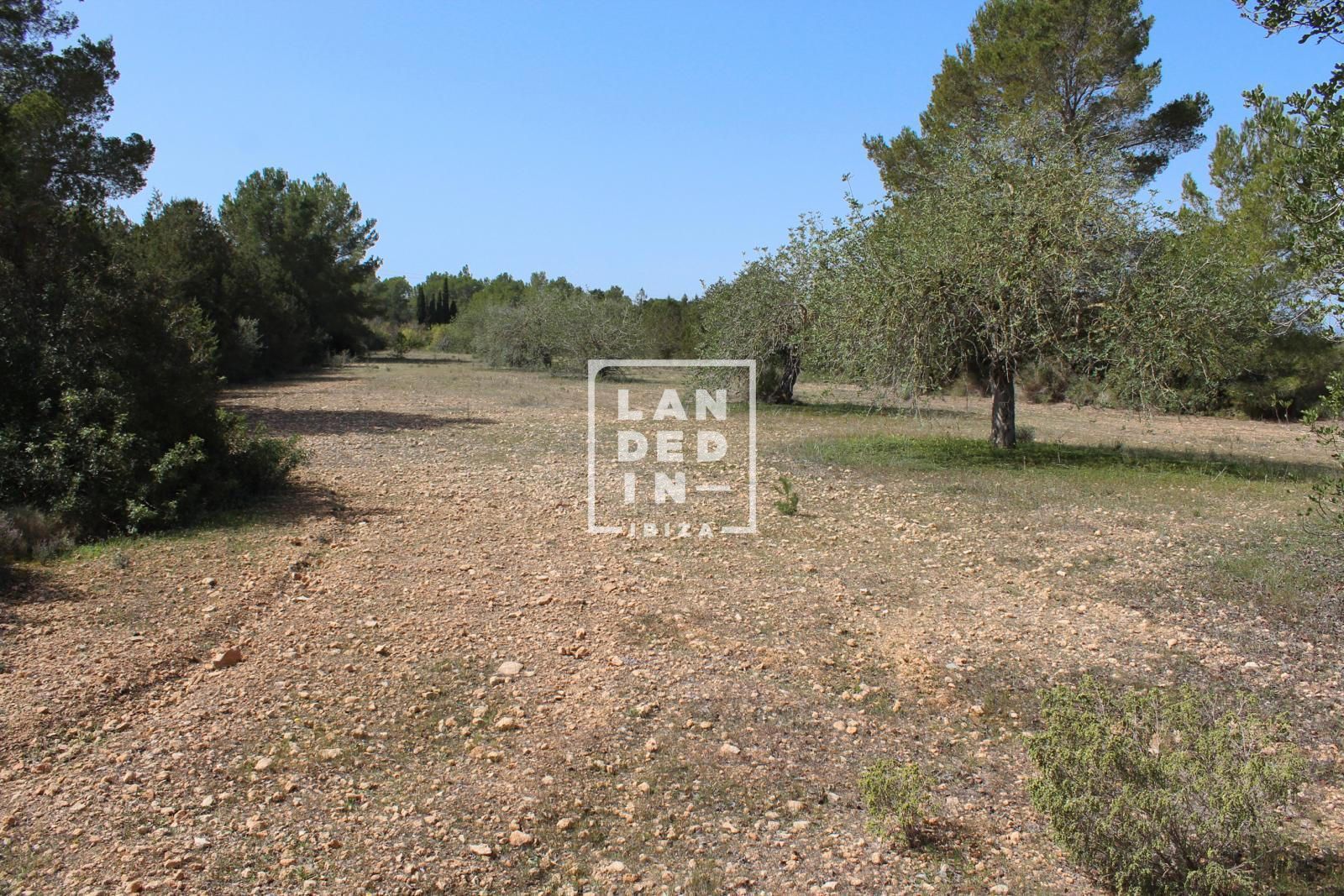 Imagen 1 del inmueble