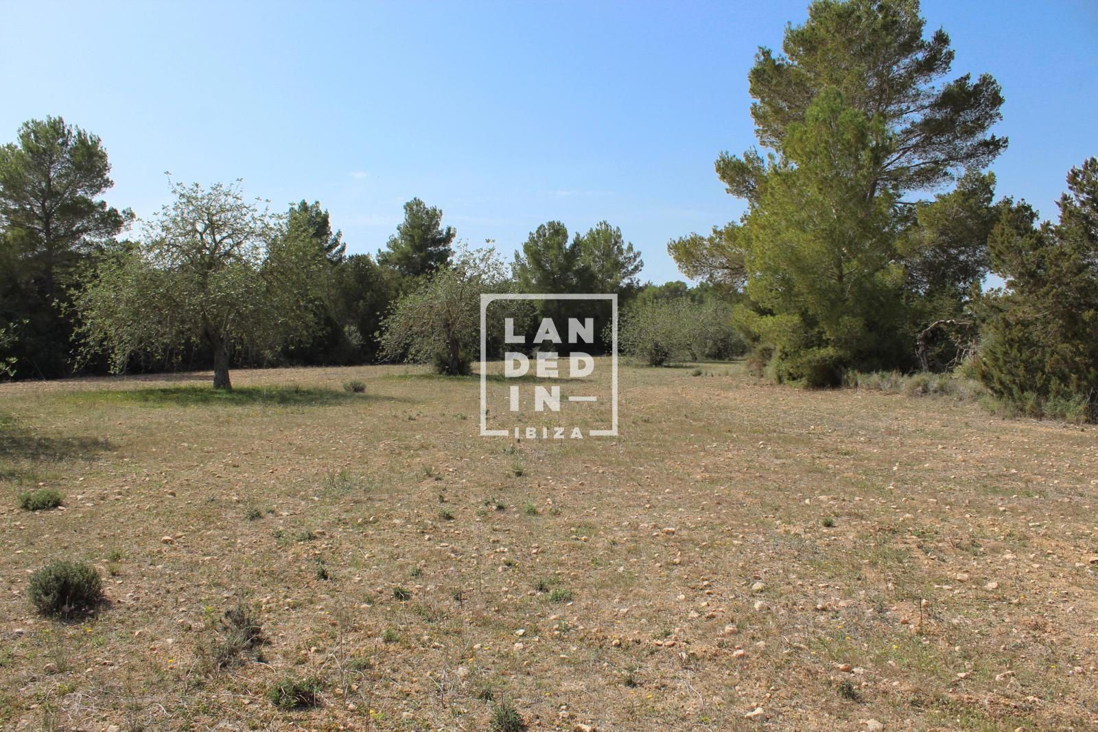 Imagen 4 del inmueble