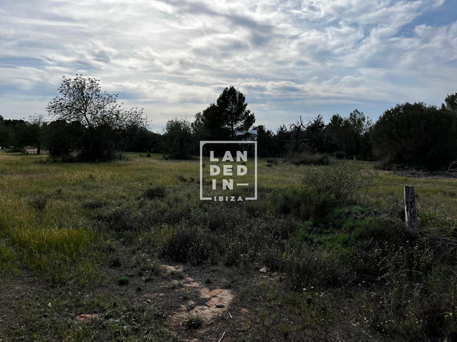 Imagen 7 del inmueble