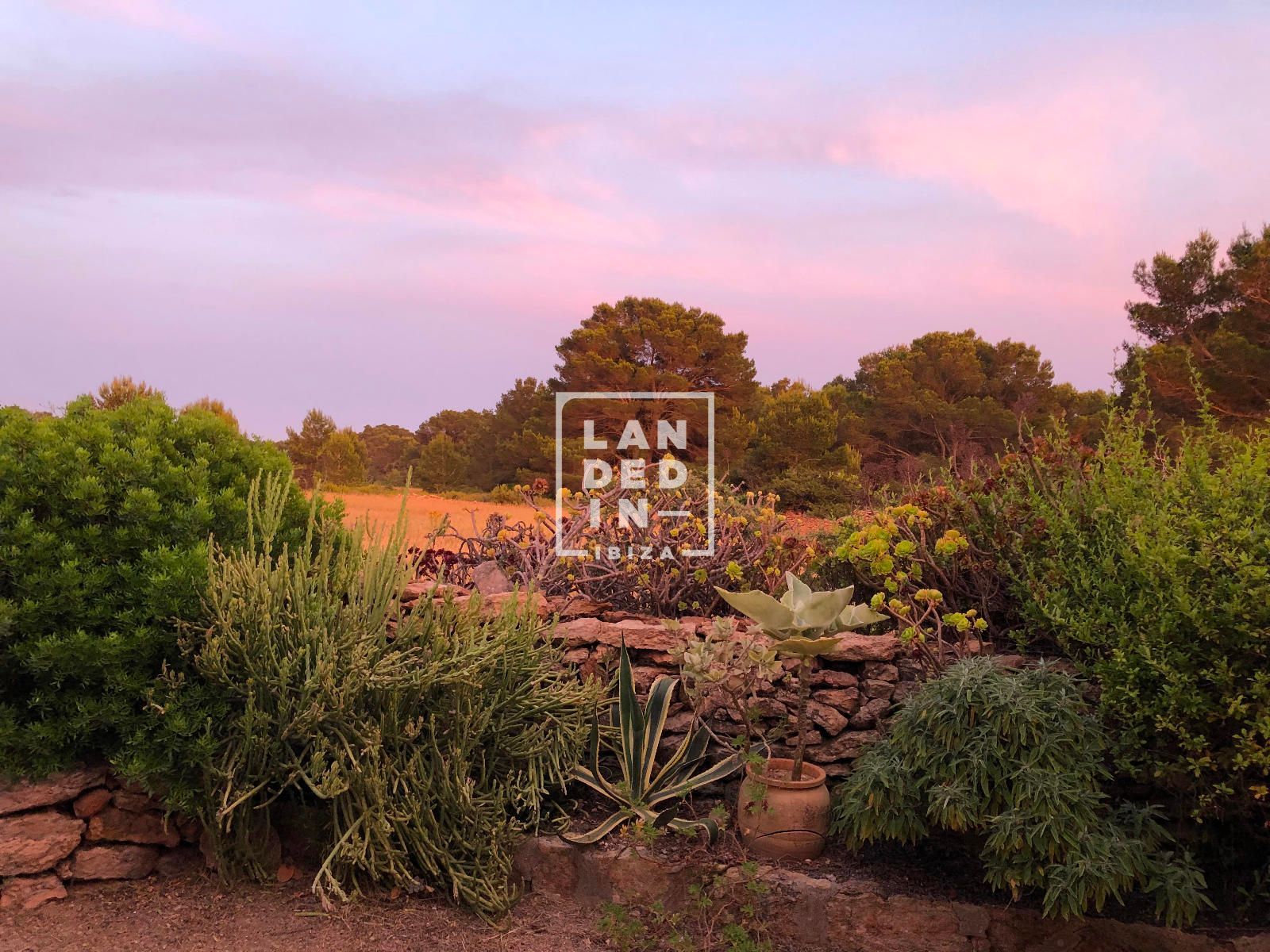 Imagen 23 del inmueble