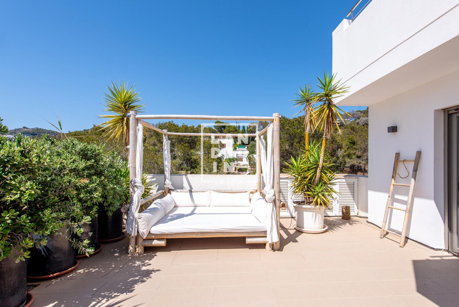 Imagen 2 del inmueble