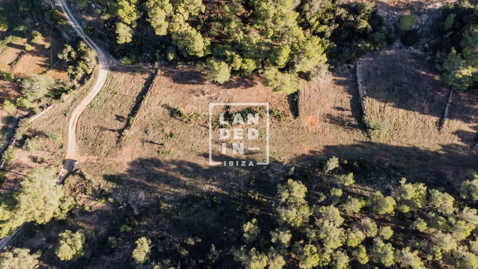 Imagen 13 del inmueble