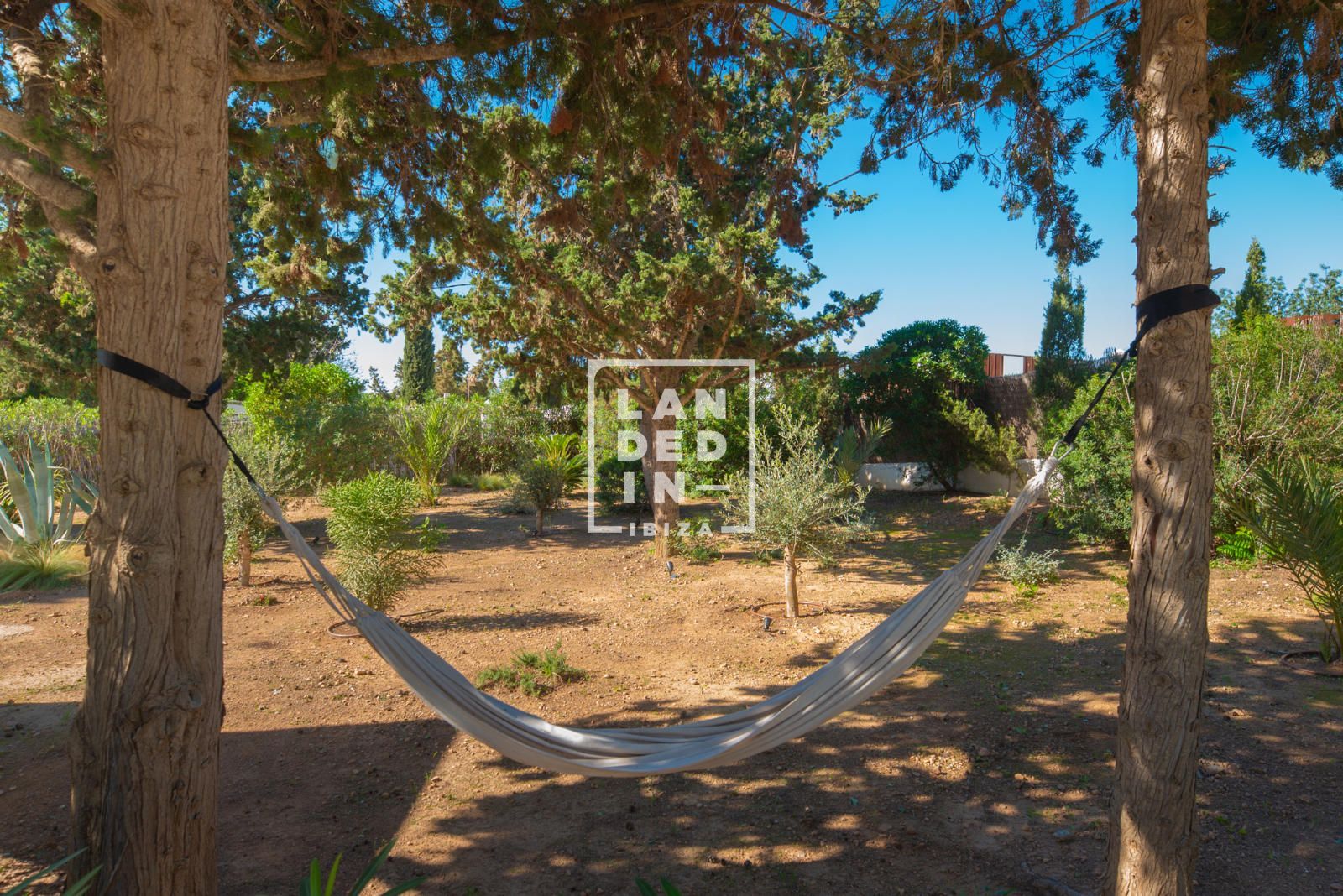 Imagen 14 del inmueble