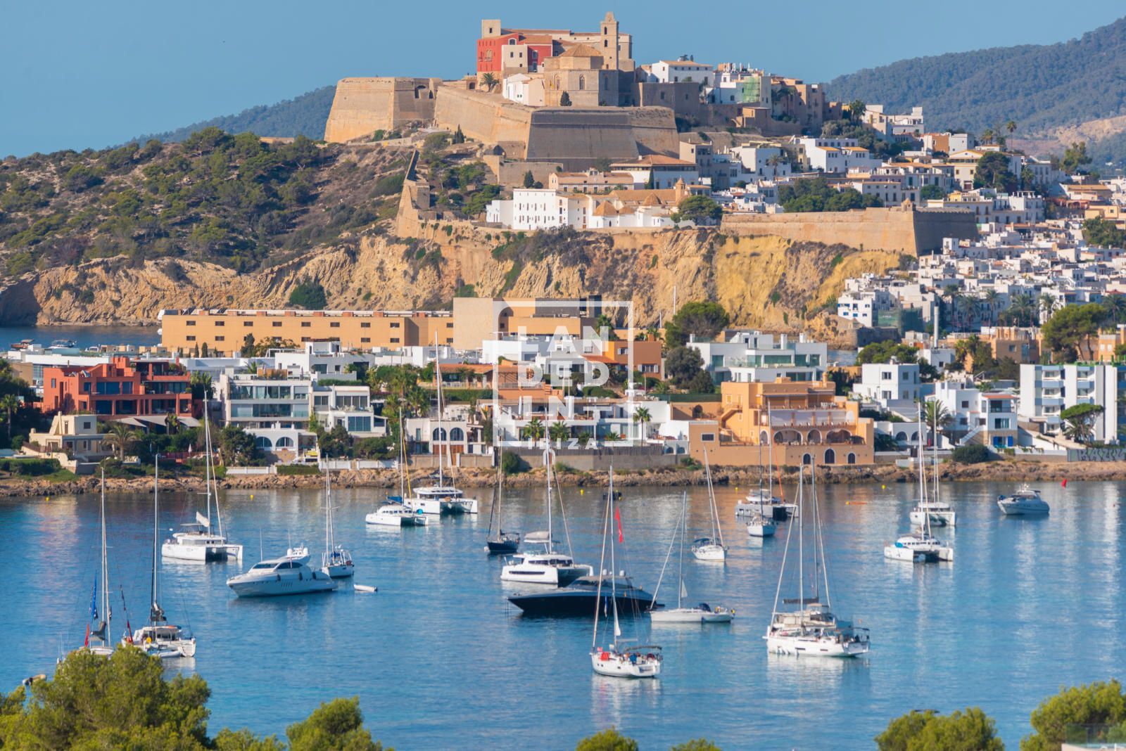 Imagen 7 del inmueble