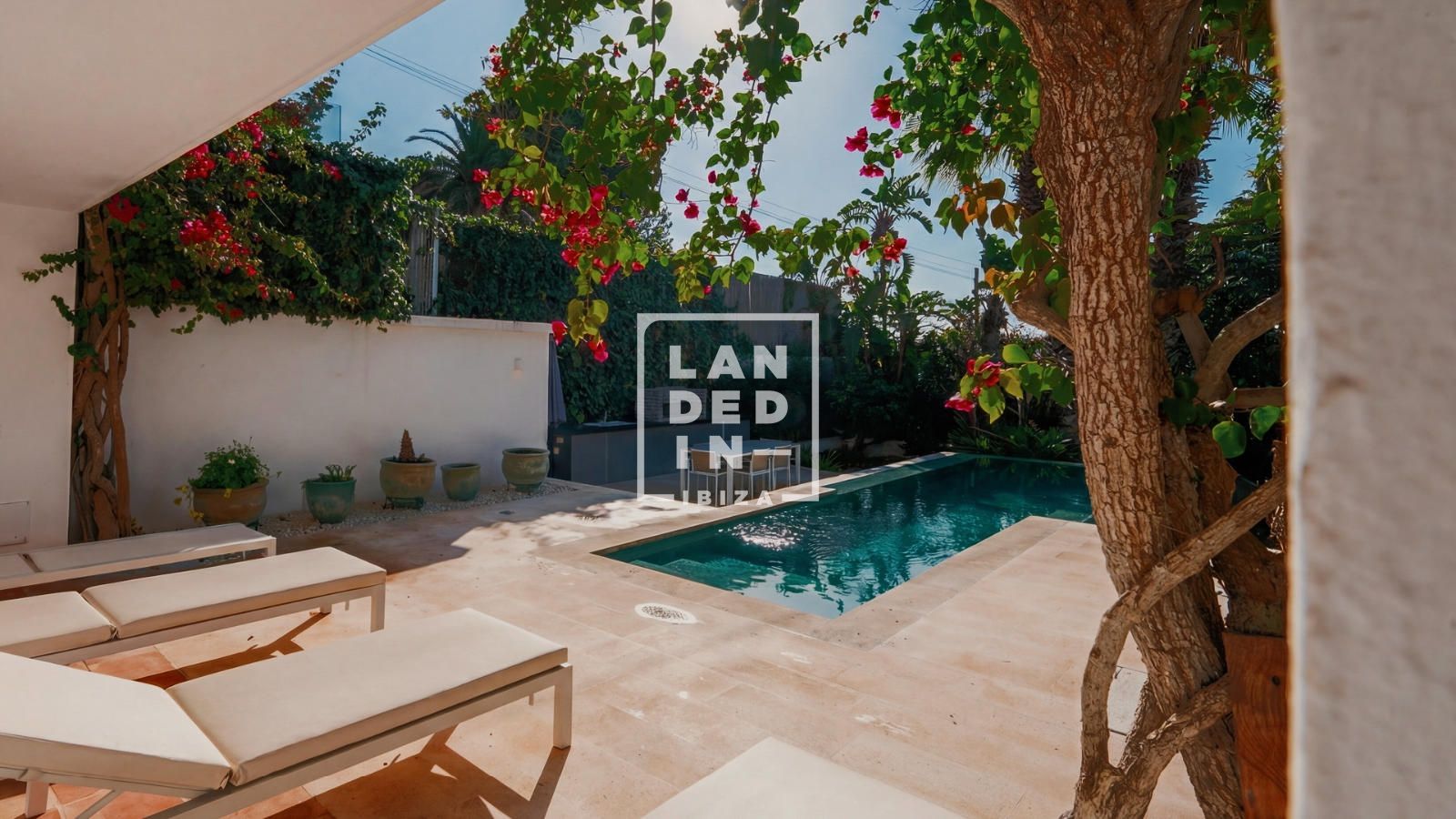 Imagen 3 del inmueble