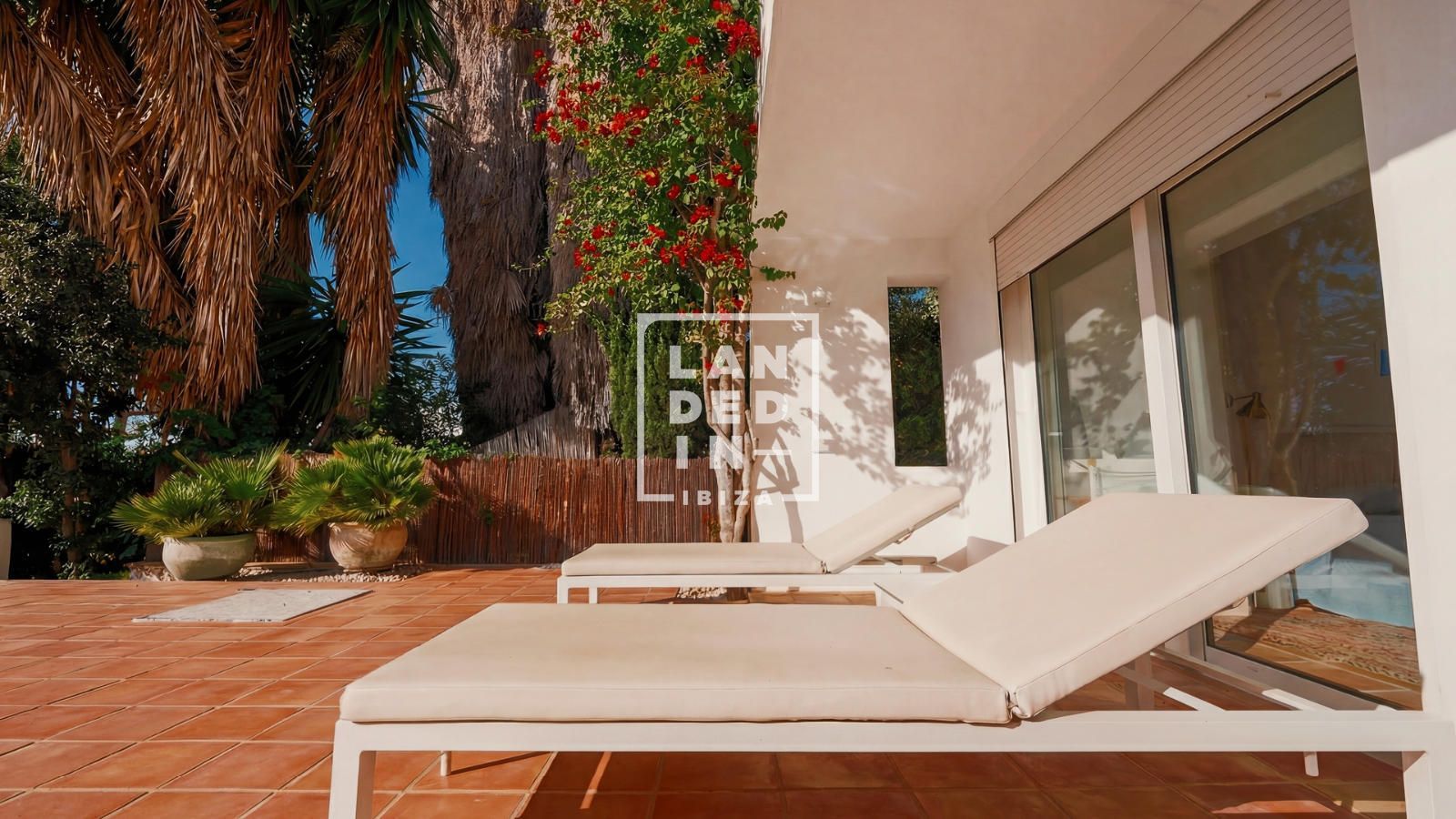 Imagen 4 del inmueble