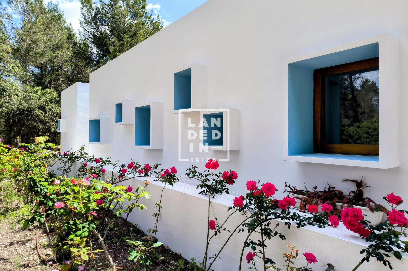 Imagen 5 del inmueble