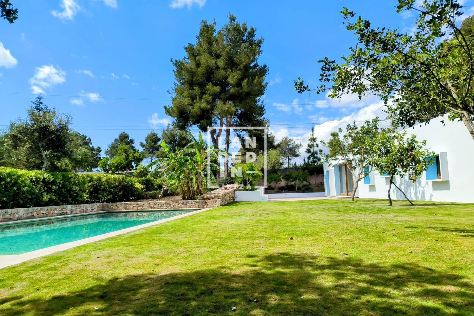 Imagen 6 del inmueble