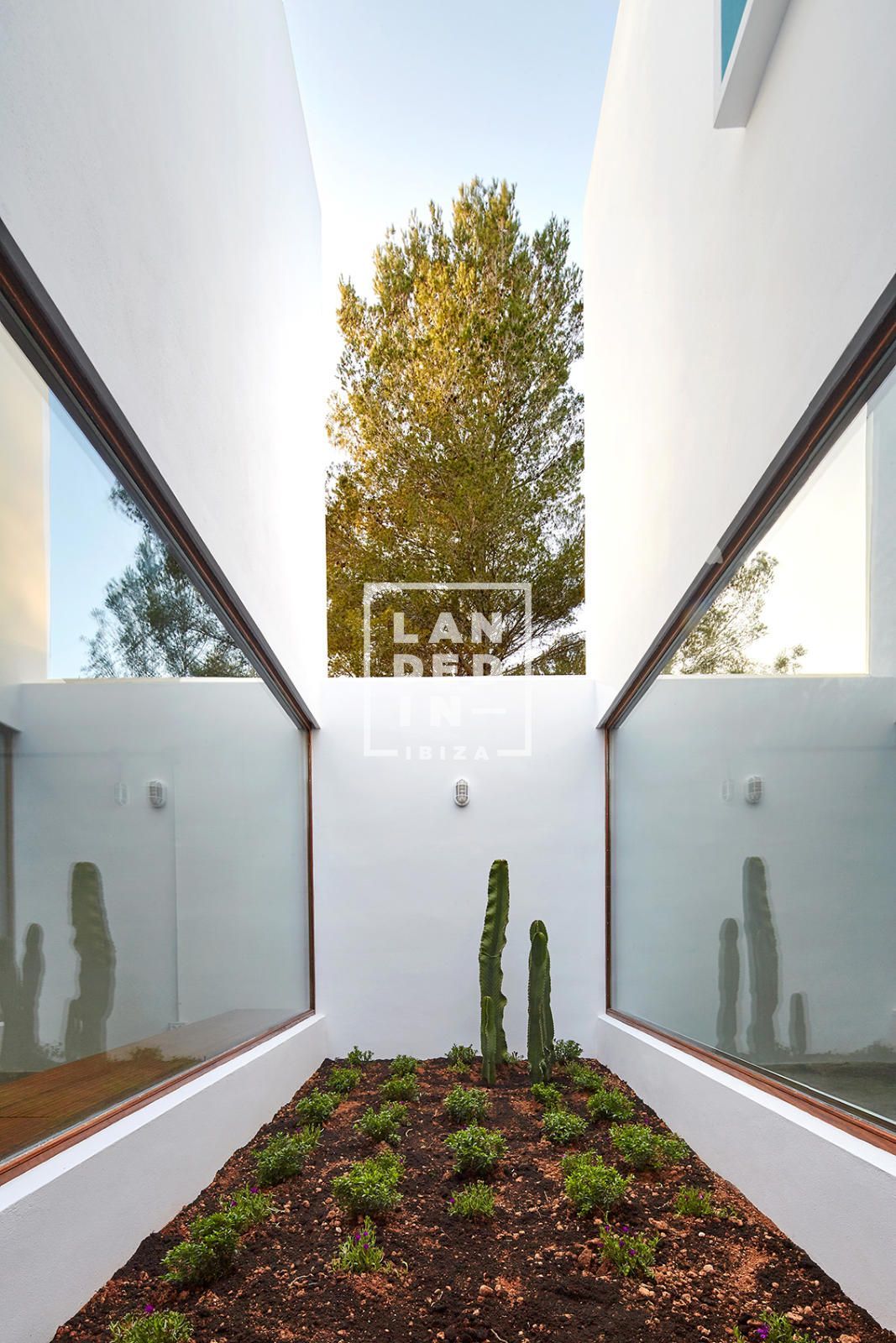 Imagen 19 del inmueble