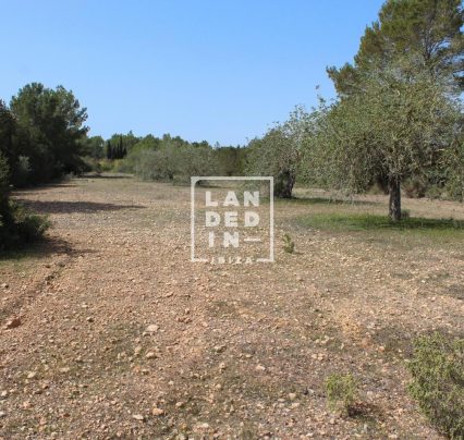 Imagen 1 del inmueble